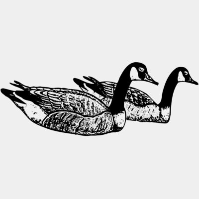 BIRD100 Thumbnail
