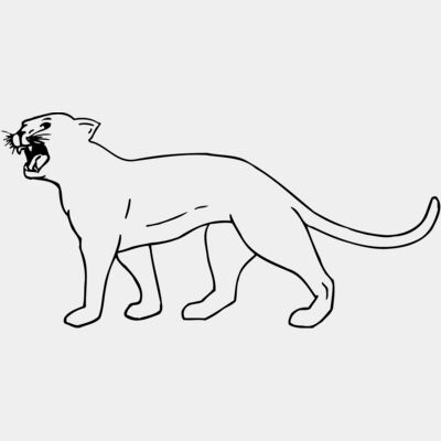 CAT05 Thumbnail