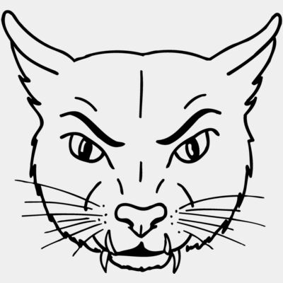 CAT19 Thumbnail
