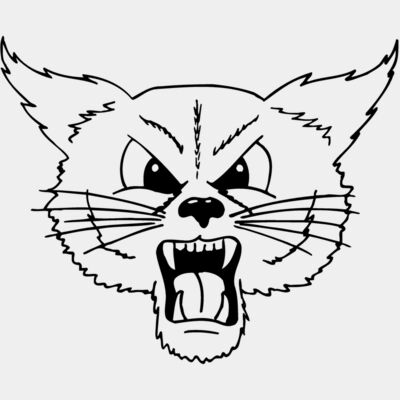 CAT20 Thumbnail