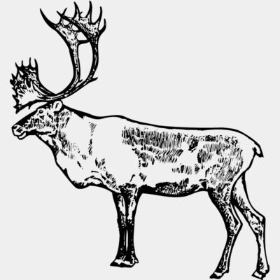 MOOSE003 Thumbnail