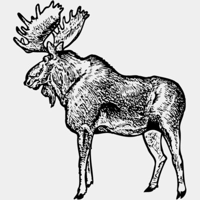 MOOSE004 Thumbnail