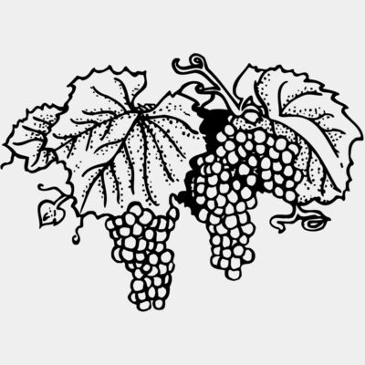 FRUIT005 Thumbnail