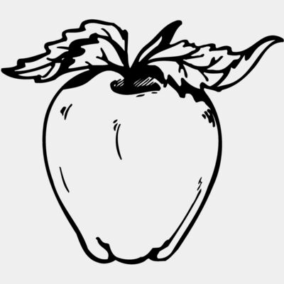 FRUIT021 Thumbnail
