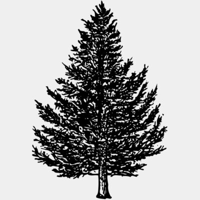 TREE0005 Thumbnail