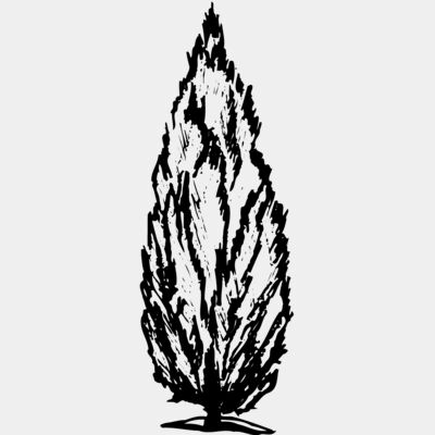 TREE0010 Thumbnail