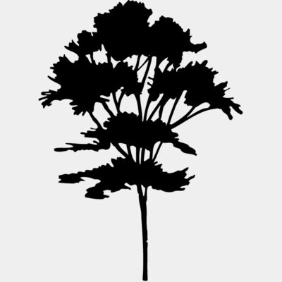 TREE0025 Thumbnail