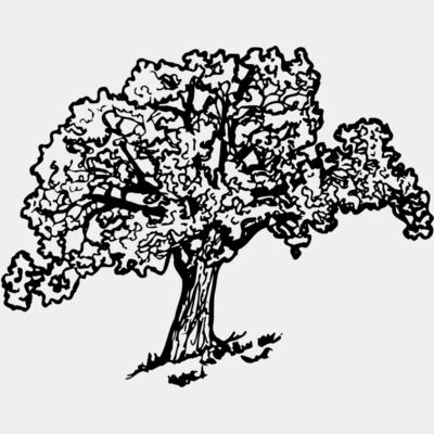TREE0027 Thumbnail