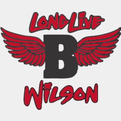 BOKA WINGS LOGO Thumbnail
