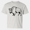 Heavy Cotton™ Youth T-Shirt Thumbnail