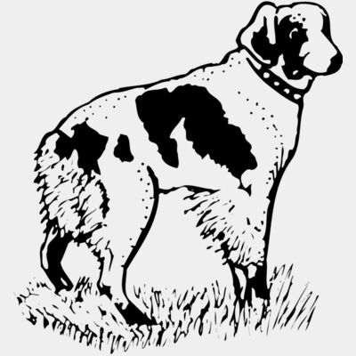 Dogs Thumbnail