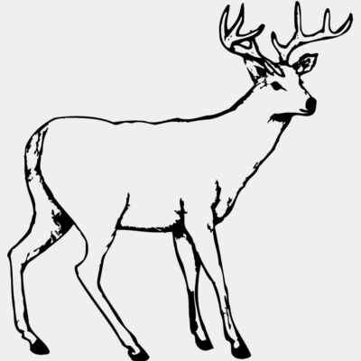 Deer Thumbnail