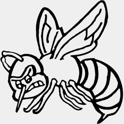 Insects Thumbnail