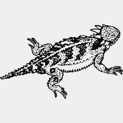 Iguana Thumbnail