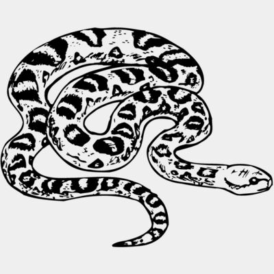 Snake Thumbnail