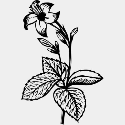 Flowers Thumbnail