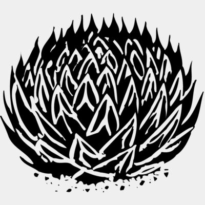 Cactus Thumbnail