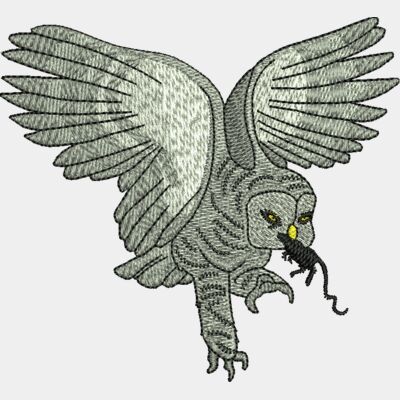 Owl Thumbnail