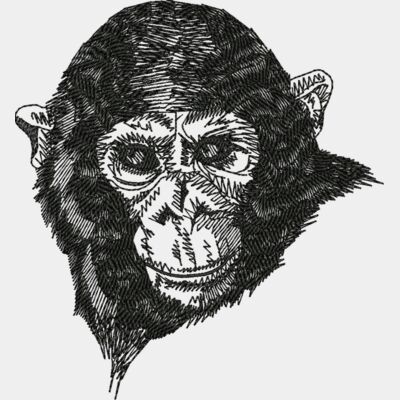 Chimpanzee Thumbnail