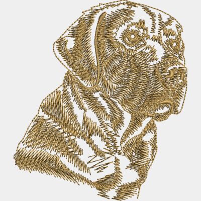 Labrador Thumbnail