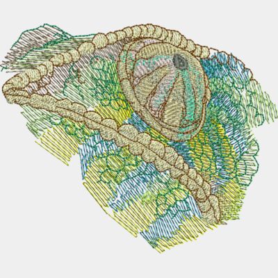 Chameleon Thumbnail