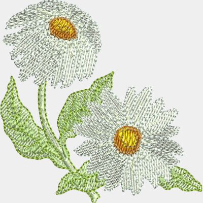 Daisies Thumbnail