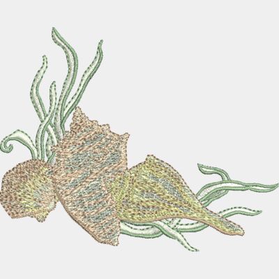 Seashells Thumbnail